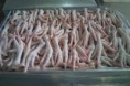 Frozen Chicken Feet
